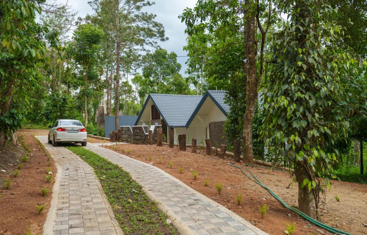 Mystic Trees, Kumily Lejlighed Thekkady Eksteriør billede
