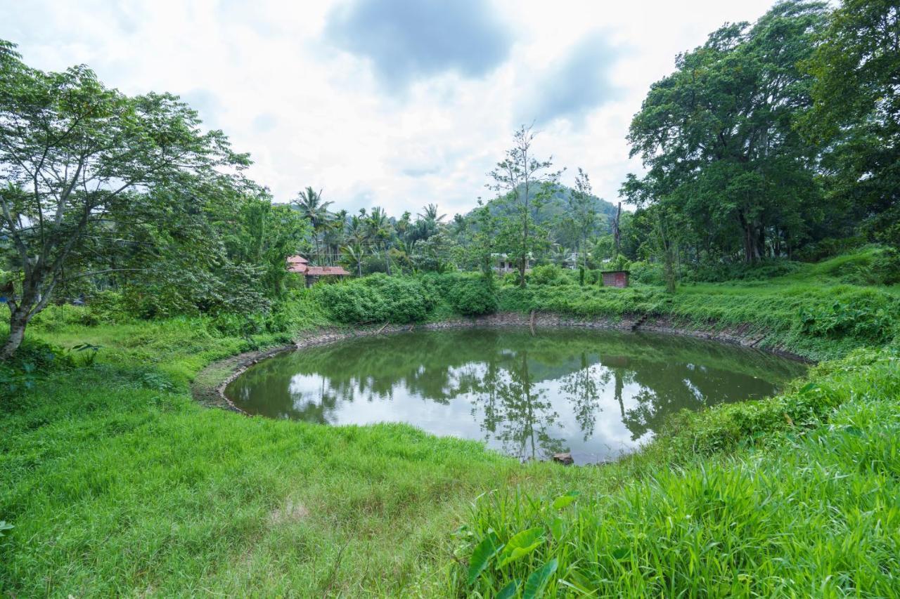 Mystic Trees, Kumily Lejlighed Thekkady Eksteriør billede